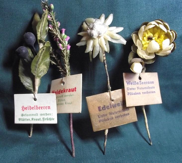 4 X WHW Wax Flowers.