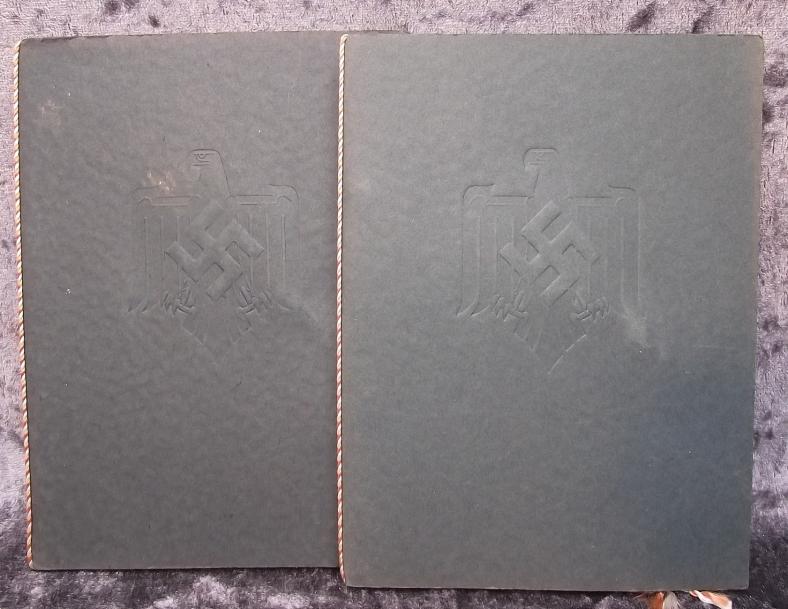 2 X DRL  Youth Sports Award Booklets. Gold and Silver.