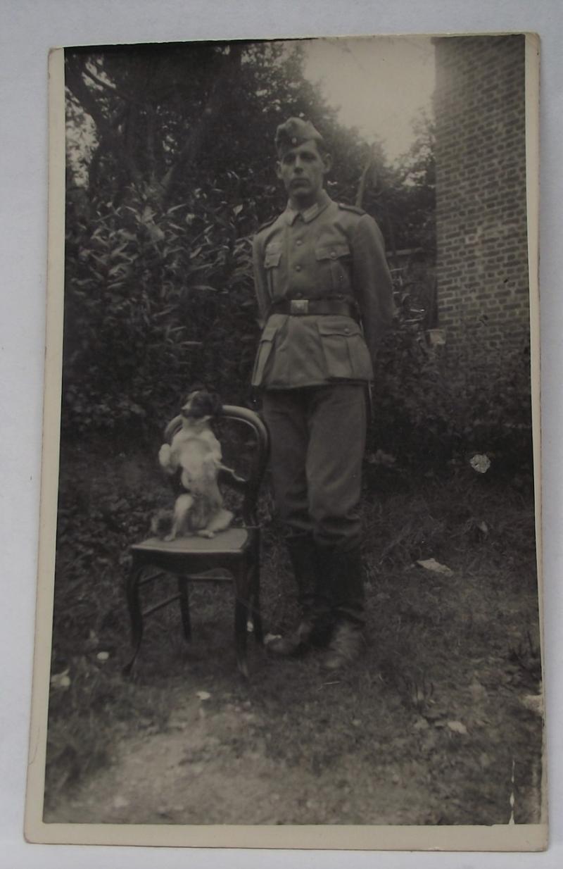 Wehrmacht Photo Post Card. Sweet Pooch!