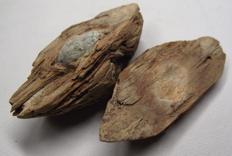 U.S.Civil War Ball Shot Relic. Tree Find.