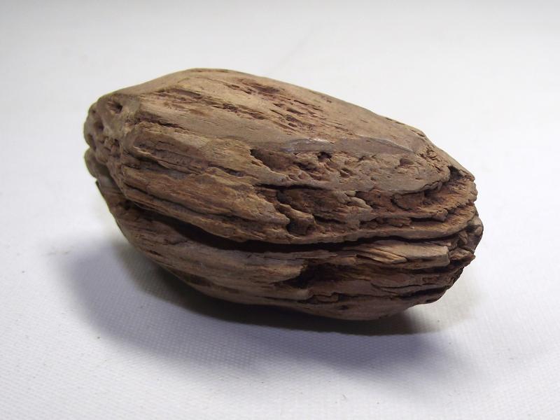 U.S.Civil War Ball Shot Relic. Tree Find.